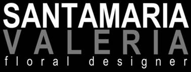Description: VS logo med